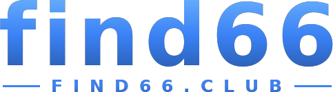 find66 logo